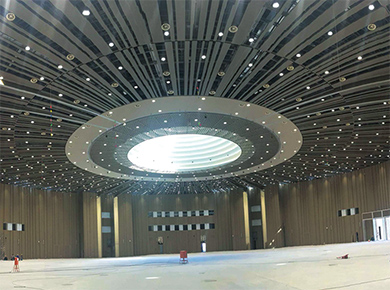 雁棲湖國際會展中心室內(nèi)照明工程